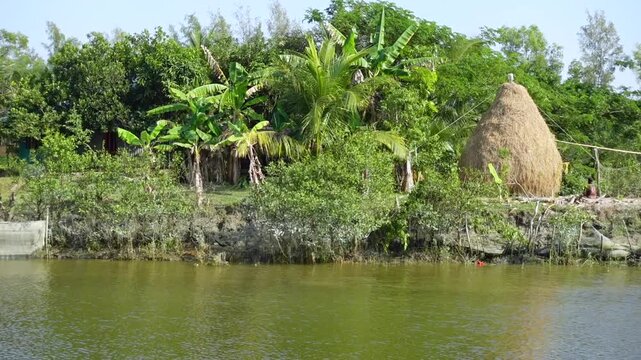 Beautiful Kukri Mukri Island, Char Kukri Mukri union, Bhola District, seen from a tourist boat.