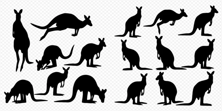 Collection of various kangaroo silhouettes in different poses and actions, isolated on a transparent background.