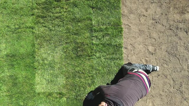 A worker laying the rolled turf. Gardening. Making a lawn from a roll. Green grass texture - well-groomed turf in the garden. View of the garden from above.