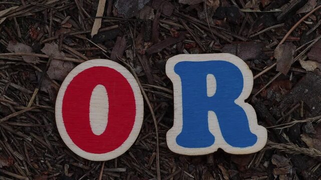 Wooden red 'O' and blue 'R' letters on forest floor. Ideal for educational materials, children's content, or creative textual displays.