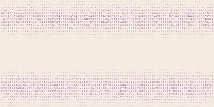 Bimodal Data Stream - Horizontal Parallel Binary Processing Arrays
