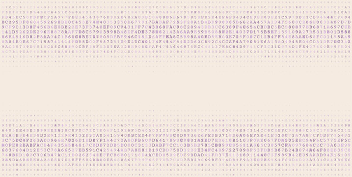 Bimodal Data Stream - Horizontal Parallel Binary Processing Arrays