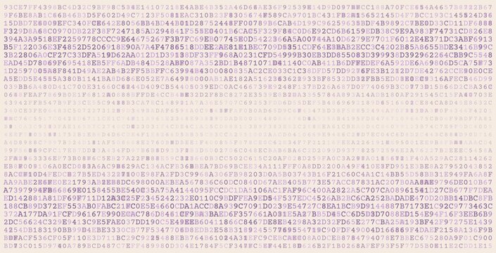 Bimodal Data Stream - Parallel Binary Processing Arrays Infrastructure