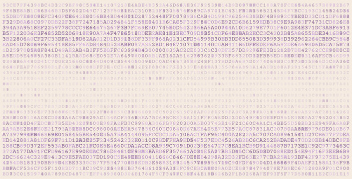 Bimodal Data Stream - Parallel Binary Processing Arrays Infrastructure