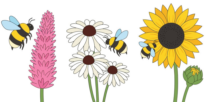 Several cartoon bees fly around a pink flower white daisies and a large yellow sunflower with a bud on a white background daisy nature insect plant garden bloom pollination