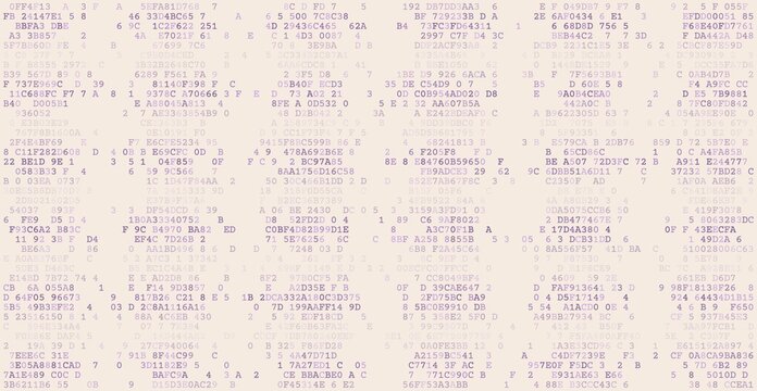 Digital Gridwork - A Structured Array of Binary Logic and Information Processing Blocks