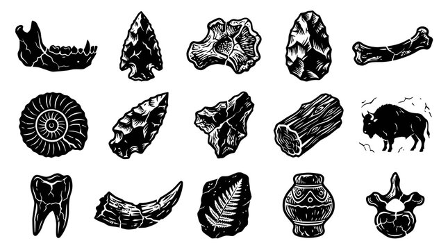 Archaeology Paleontology Prehistory Vector Set: Ancient Fossils, Stone Age Tools, Bones, Artifacts in Engraving Style