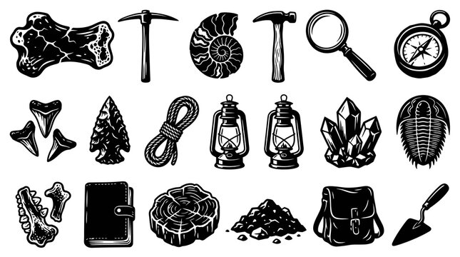 Vintage Black  White Line Art Icons: Archaeology  Paleontology Exploration Gear, Tools, Fossils Collection