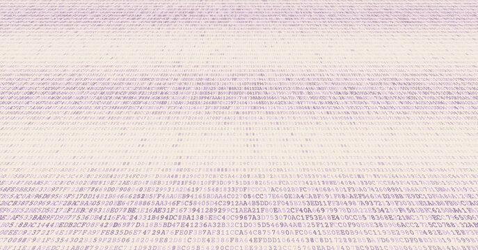 Bimodal Data Stream - Parallel Binary Processing Arrays Infrastructure. Perspective.