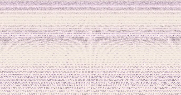 Bimodal Data Stream - Parallel Binary Processing Arrays Infrastructure. Perspective.