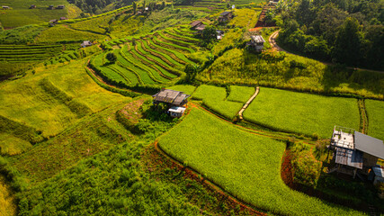 Fototapeta premium A scenic view of Pa Bong Piang rice terraces showcases the harmony between traditional farming and mountainous landscapes in northern Thailand.