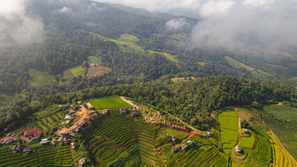 Fototapeta premium A scenic view of Pa Bong Piang rice terraces showcases the harmony between traditional farming and mountainous landscapes in northern Thailand.