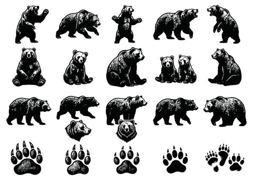 Powerful brown bear silhouette collection, showcasing various poses and detailed paw prints, perfect for wildlife and nature-themed designs