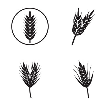 Black wheat icons set  wheat  grain  cereal  food  agriculture  farming  harvest  plants  leaves  stems  oats  barley  rye  wheat ears  various wheat icons