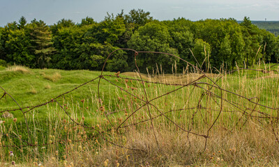 Obraz premium Restes de barbelés de la Grande Guerre sur le dessus du fort enterré de Douaumont, Meuse, France