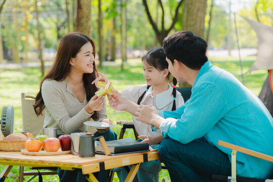 A family of three from Asia enjoyed using their laptops in the park and also enjoyed a picnic together in the park.