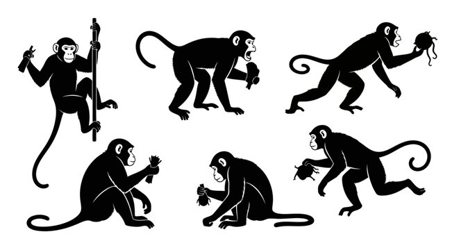 Set of Black Monkey Silhouettes in Various Poses