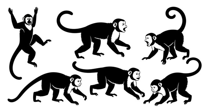 Set of Capuchin Monkey Silhouettes in Various Poses