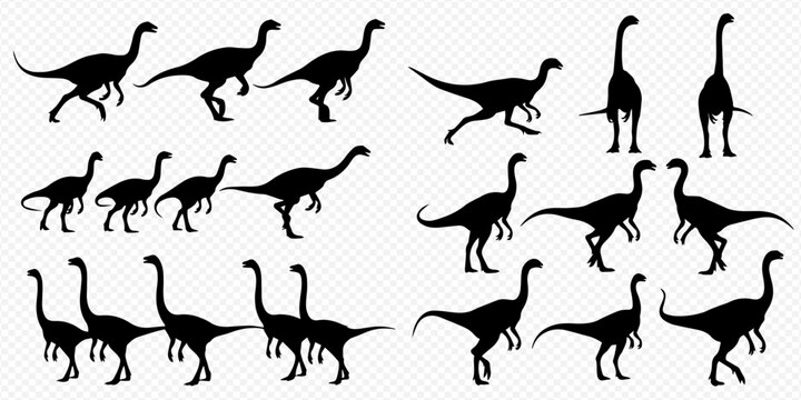 Set of various dinosaur silhouettes, including different poses and species, isolated on a transparent background, suitable for educational or design projects.