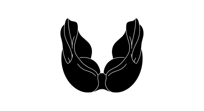 Black silhouette vector of a women's push up bra lingerie