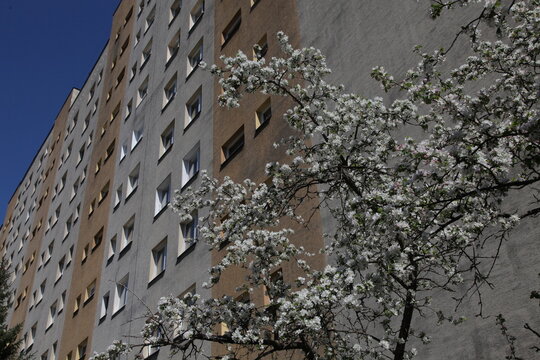 A modern building in Krakow's Prokocim district