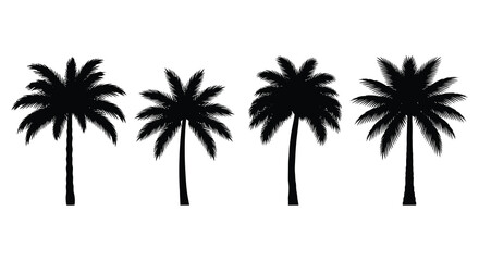 Fototapeta premium Four palm trees in black silhouette high quality