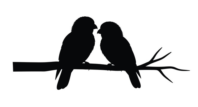 Two birds perched on a branch black silhouette
