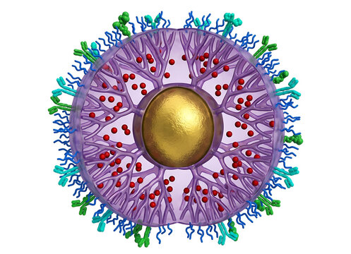 3D Render of a Dendrimer-Encapsulated Gold Nanoparticle for Targeted Chemo-Photothermal Therapy
