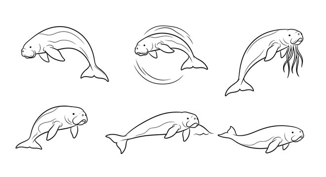 Dugong Character Set in Various Poses, Hand-Drawn Sketch Illustration
