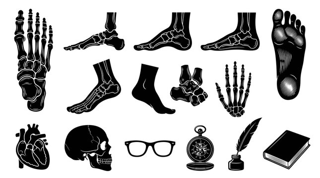 Black and White Vector Set: Human Anatomy - Feet, Hand, Skull, Heart, Book, Glasses, Compass, Quill