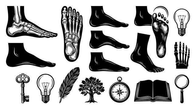 Black and White Vector Icons: Feet, Anatomy, Lightbulb, Key, Feather, Tree, Compass, Book, Magnifying Glass