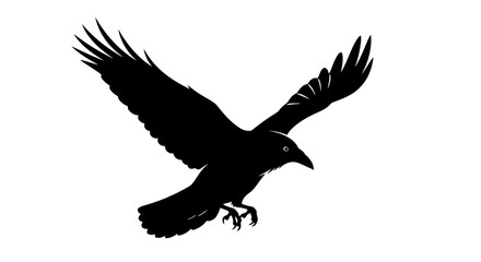 Fototapeta premium Flying raven silhouette vector illustration isolated on white