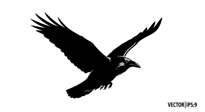 Black crow bird in flight vector illustration on white background
