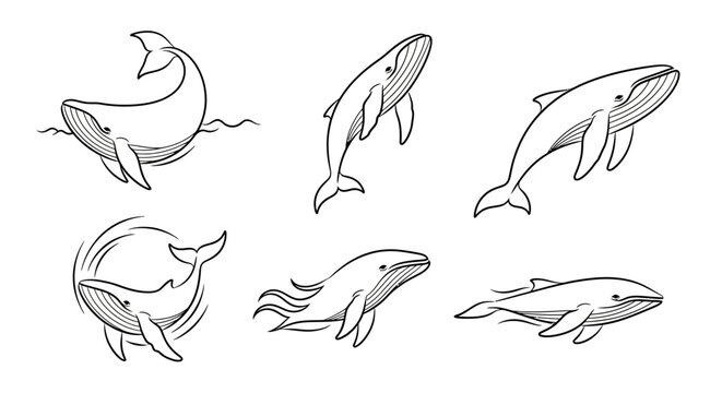 Hand-drawn Humpback Whale Set, Various Swimming Poses in Ink Style