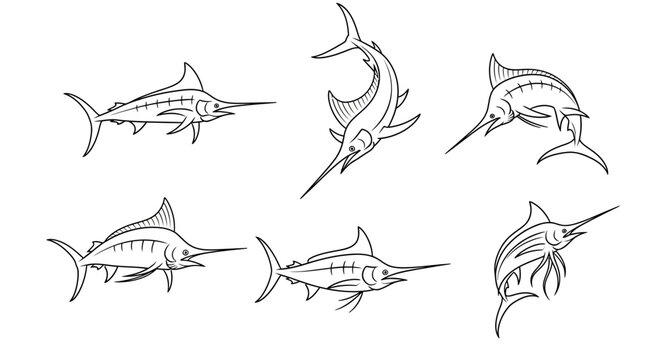 Set of marlin fish illustrations in various swimming poses