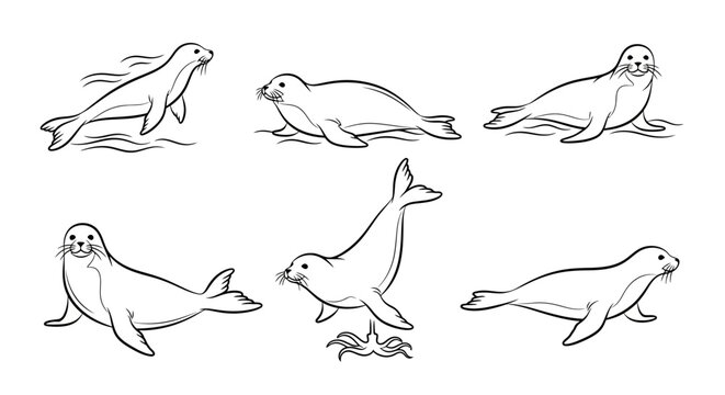 Set of cute harbor seals in various poses, hand-drawn vector illustration