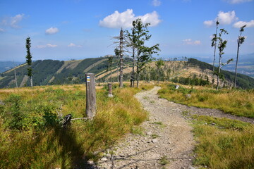 Fototapeta premium Educational trail Skalka Ondrejnik. Landscape with a road and hills.