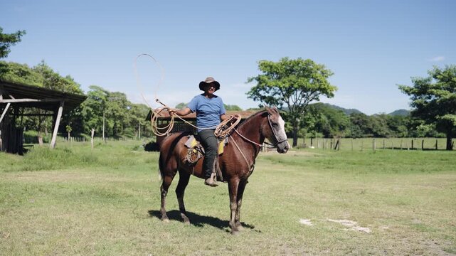 Cowboy riding his horse on a grassy pasture. The equestrian man wearing a hat is skillfully twirling a rope with one hand