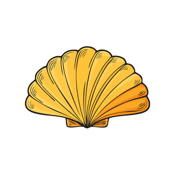 Illustration of a single golden scallop seashell with radiating ribs and a dark outline