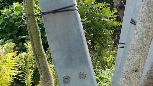 Weathered Wood Shows Enduring Strength. Organic Shapes And Aged Bark Demonstrate Toughness With Seasons