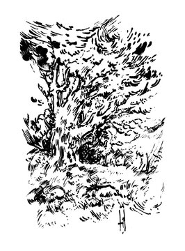 Abstract ink drawing of a weathered tree with expressive, textured brushstrokes in a minimalist black and white style.