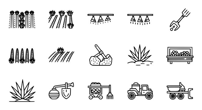 Agricultural agave farming and industrial cultivation icon set featuring irrigation systems harvesting tools field rows and heavy machinery for Mexican tequila and spirit production infographics.