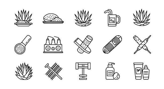 Agave plant and natural product icon set featuring agave heart pina distillation equipment cigars beauty cream and essential oils for Mexican agriculture and wellness infographics.
