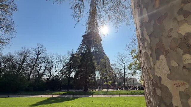 Serene park scene capturing Eiffel Tower amid greenery and visitors