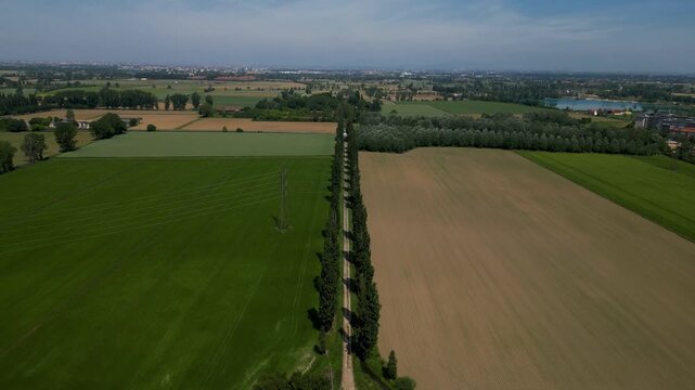 Agricultural Divide: Aerial view of two distinct farm fields, one lush green with crops and the other dry and fallow, separated by a tree-lined path under a vast sky.