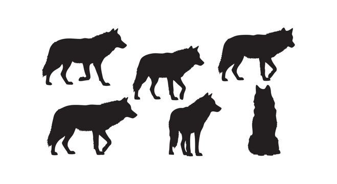 Silhouettes of wolves in various poses, depicting wild canines and pack dynamics.