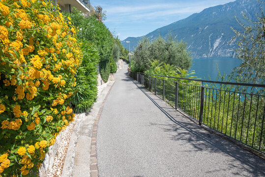 lakeside walkway Limone with orange blooming lantana flowers and lake view Gardasee