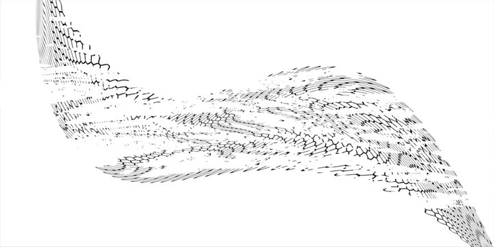 Black snake skin pattern isolated on white background eps 10