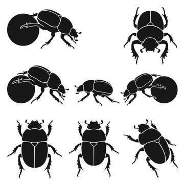 Black and white vector silhouette set of Dung Beetle