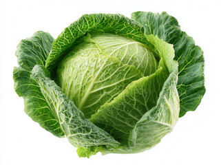 Obraz premium Curly green cabbage sits on white background, showing layers of leaves and moisture droplets with no other objects nearby
